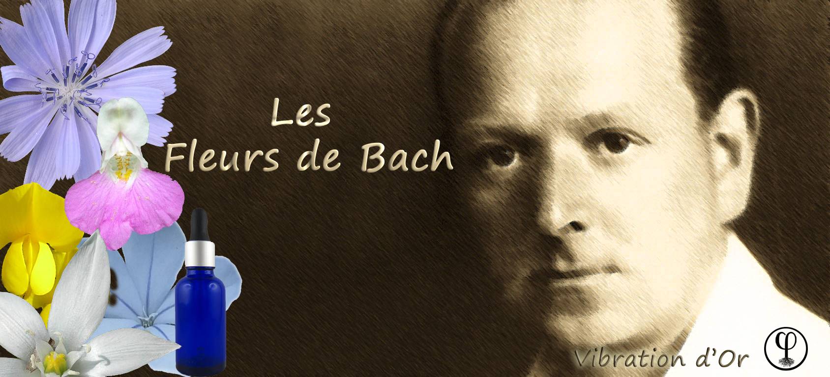 You are currently viewing Les Fleurs de Bach pour vous Re-connecter à vous même…