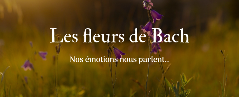 Les fleurs de Bach